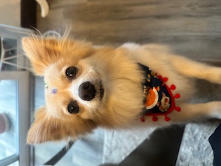 Mia