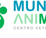 1PB4HO3GCZRO9