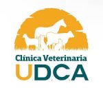 udca